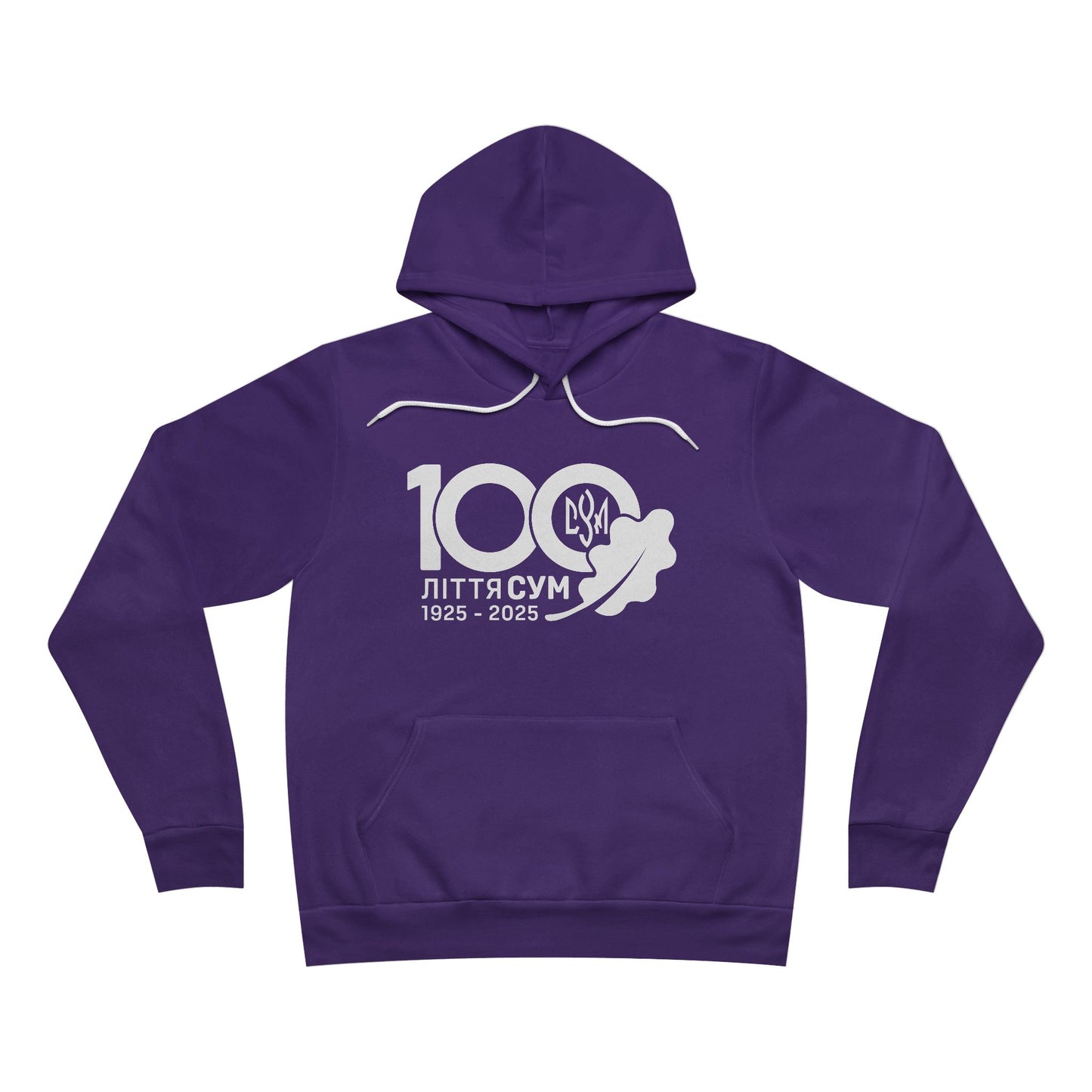 100th Year Anniversary Adult Pullover Hoodie